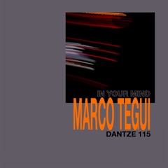 Marco Tegui - In Your Mind - DTZ115