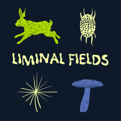 Liminal Fields 2025