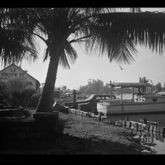 Cubano, extra mustard