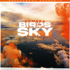 Birds In The Sky (Protein Bor Remix)