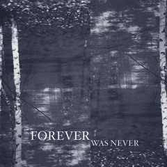 Forever Was Never (Prod. Lonclear)