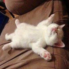 😼 neo mixtape 👾