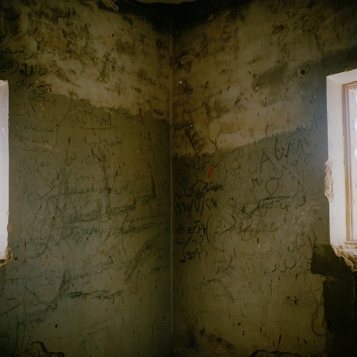 Caustic Network [A Better Tomorrow For Palestine Comp]