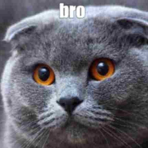 [dj illtakeitThere]- - switchyou up