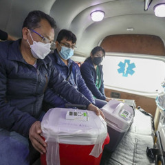 Donación de órganos y tejidos en el Perú