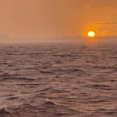 Some direction into the light