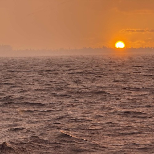 Some direction into the light