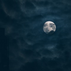 Moonlight Sonata (1st Movement) - Ludwig van Beethoven