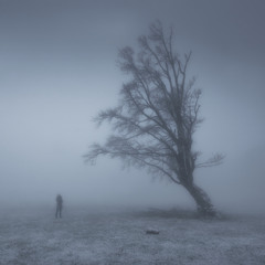 So who are you now? [FREE DOWNLOAD]