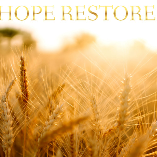 Grace in the fields - Ruth 2