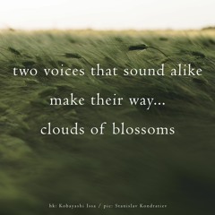 Boson Spin - Through clouds of blossoms [naviarhaiku347]
