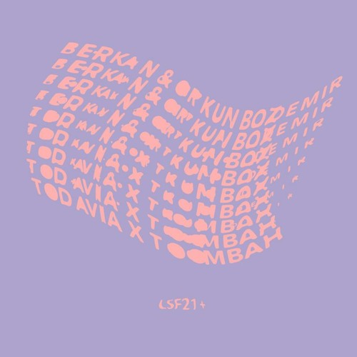 Berkan & Orkun Bozdemir - Todavia (Original Mix) [LSF21+]