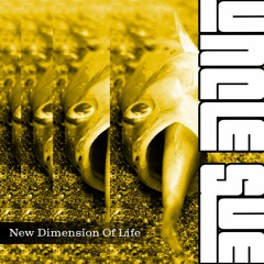 How Do I Let A Good Man Down