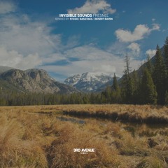 Invisible Sounds - Soul Healer [3rd Avenue]