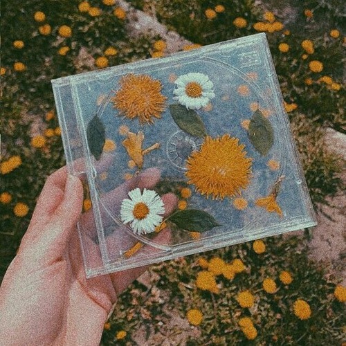 🌼 Songs For Every Mood 🌼