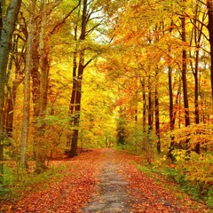 “Tough Talk” Sunday Worship Service – Rev. Erik Simon 9/22/24