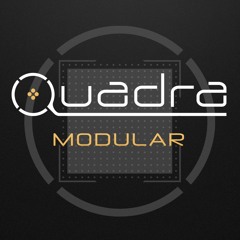 Quadra Modular | Patchbay Pandemonium by TORLEY