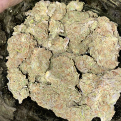 FREDDY GLO X lil Twisted X OPKKEAM - OPK