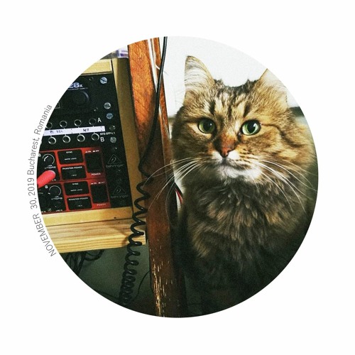 Toolkit v1.0 / Average Joe - Cool Cat EP