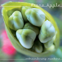 Fiona Apple - Extraordinary Machine (Full Album)