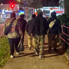 CAMINO AL PUNTO - METRIK VADER