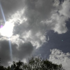 waiting for the sun
