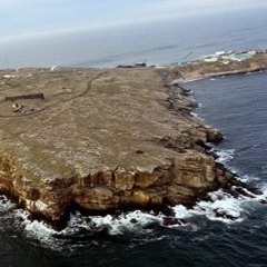 остров Змеи