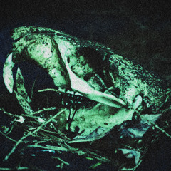 Revival (of Gossamer)