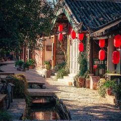 Tung Của x Nhật Bổn