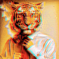 Battery Operated Latin Boss V2 (Tigerblind x Beltran) (KØØBA’s Pre-Run)