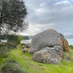 FKISM: Space Steeple site, Granite Island (Nulcoowarra), August 2023