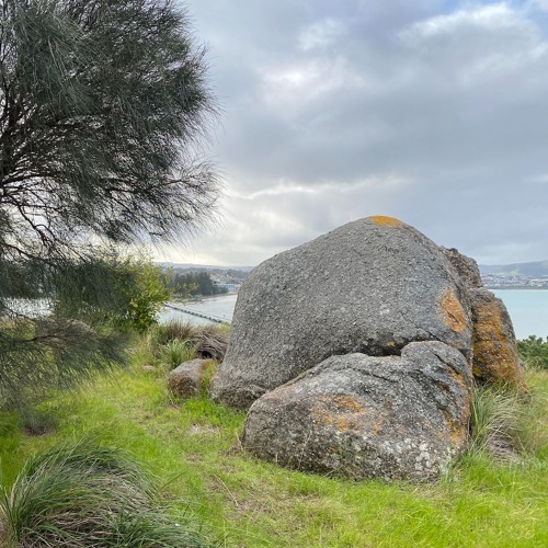 FKISM: Space Steeple site, Granite Island (Nulcoowarra), August 2023