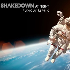 Shakedown - At Night (Fungus Remix) **FREE DOWNLOAD**