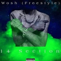 14 Section - Wosh.!!! ( Freestyle )