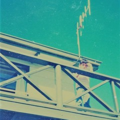 Everybody Knows My Friend - Polaroids of Polarbears