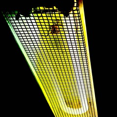 flimmerlicht