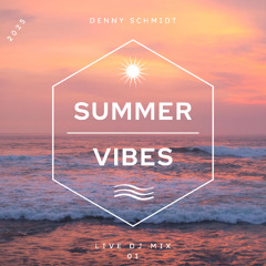 Summer Vibes - Denny Schmidt Live Set ( Promo Set )
