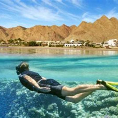 Best Daytour To The Red Sea From Cairo Tours Review