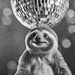Slothdisco, Schneckno, Ketapop