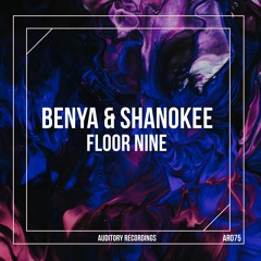 Benya & Shanokee - Floor Nine (Radio Edit)