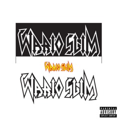 WARIO SLIM - SUMMER ANTHEM (Prod. GELATO, 1MIND, & Cig Vicious)