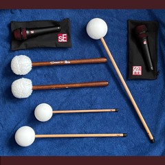 Ecstatic Dance San Jose, Rehearsal - Nov 8, 2024