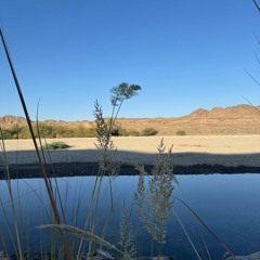 نحن حورٌ، بل بدورٌ، بل سرورٌ للعباد