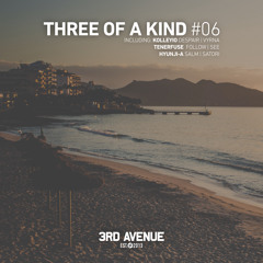 Premiere | Tenerfuse - See (Original Mix) [3rd Avenue]