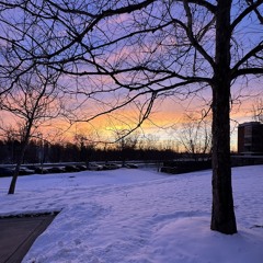 apologies (sincere7th)