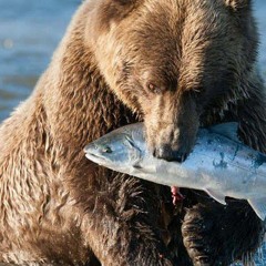 MC ALEF - TROPA DO ABELHA E DO COROLA MANGUINHOS [ DJ PC DO ENGENHO & DJ GEH DA LGD ] (