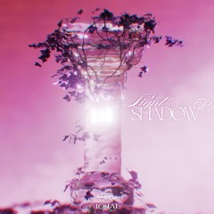 Light in the Shadow EP (on tonal)