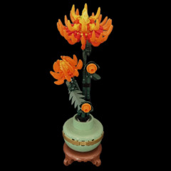 Chrysanthemum