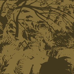 dynArec  - Exotic Landscape [LP]