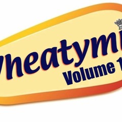 Wheatsheaf St Helens Sunday Sessions - Dj Bryan Rigby Old Skool Mix Vol 1
